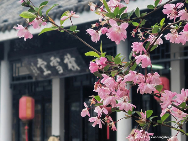Plum Garden (Meiyuan Garden)