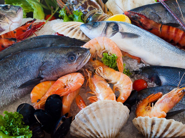 Xiamen Seafood