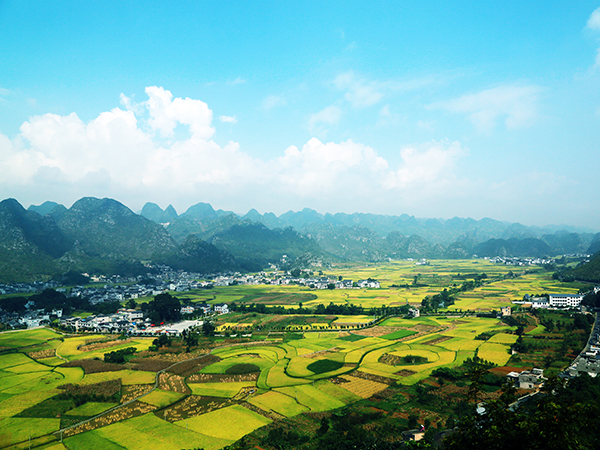 Wanfenglin Scenic Area