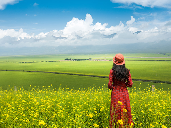 /pic/city/xining/attractions/menyuan-flower-bath-03.jpg