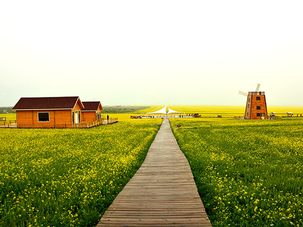 Menyuan Rape Flower Scenic Spot