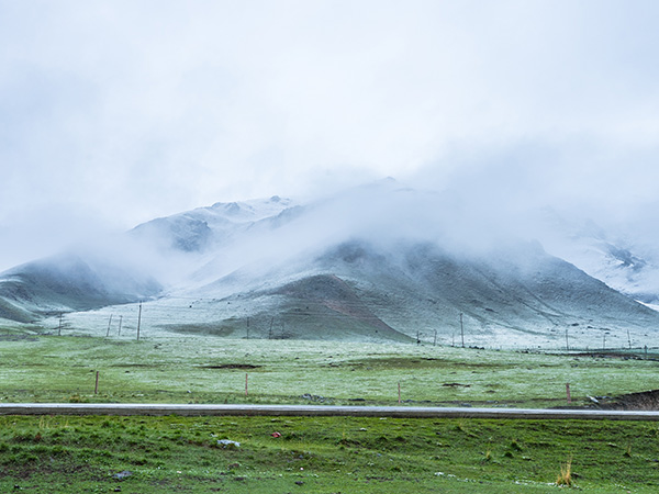 Qilian Mountain Grassland