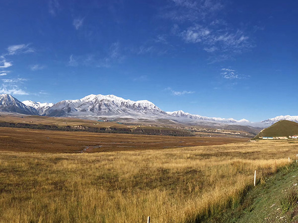 Qilian Mountain Grassland
