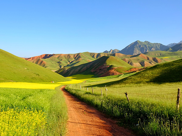 /pic/city/xining/attractions/qilian-scenery-04.jpg