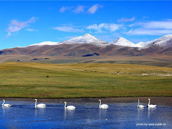 Bayanbulak Grassland
