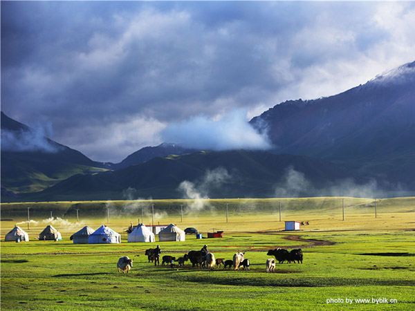 Bayanbulak Grassland