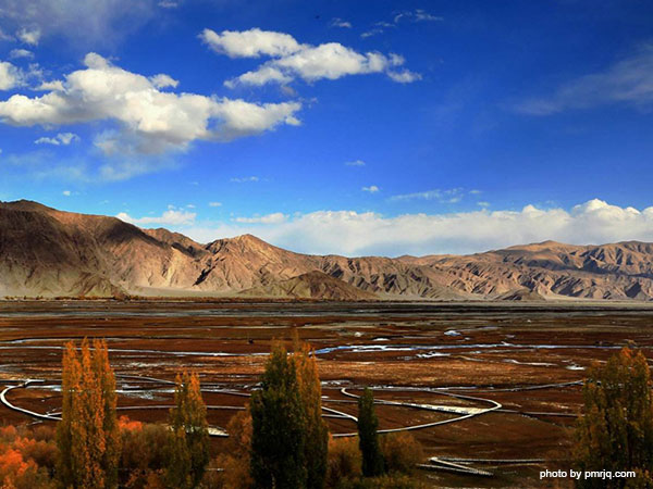 Alar Jincaotan Wetland(Golden Grassland)