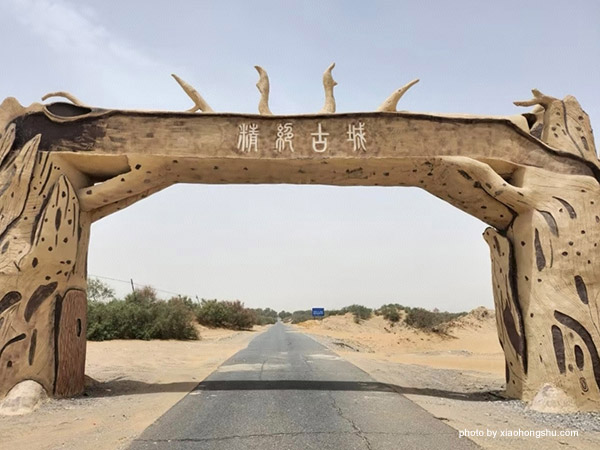 Niya Site
