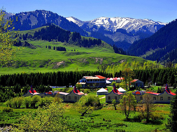 Most Beautiful Grasslands in Xinjiang - Tangbula Grasslands