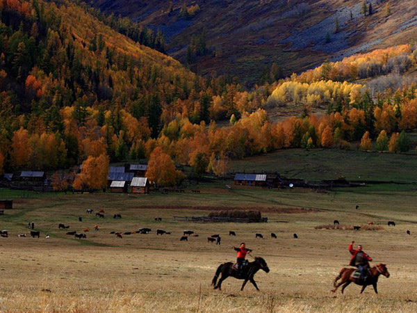 Most Beautiful Grasslands in Xinjiang - Hemu Grasslands
