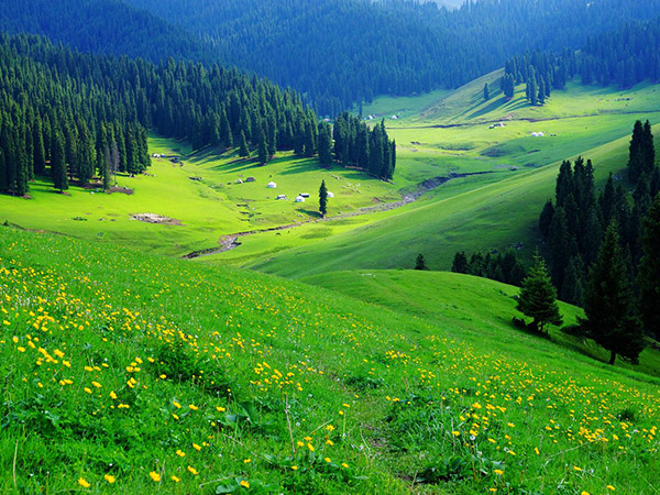 /pic/city/xinjiang/tips/grasslands-in-xinjiang-05.jpg