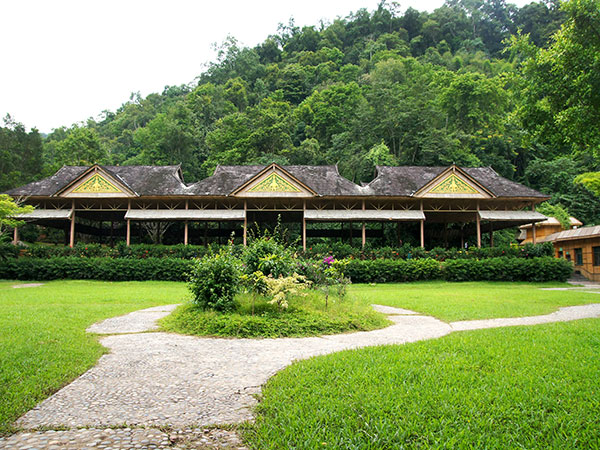 Jinghong Primitive Forest Park