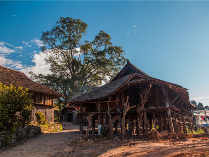 Jingmai Mountain