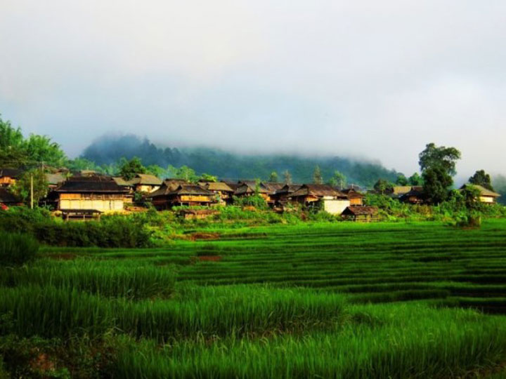 Laodabao