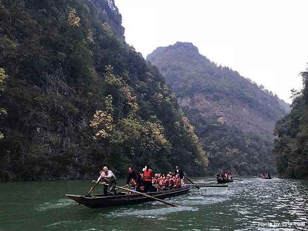 Shennong Stream