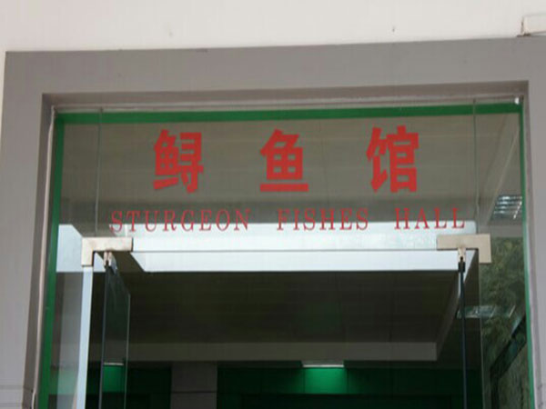 Chinese Sturgeon Museum