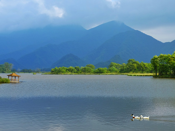 Shennongjia Scenic Spot