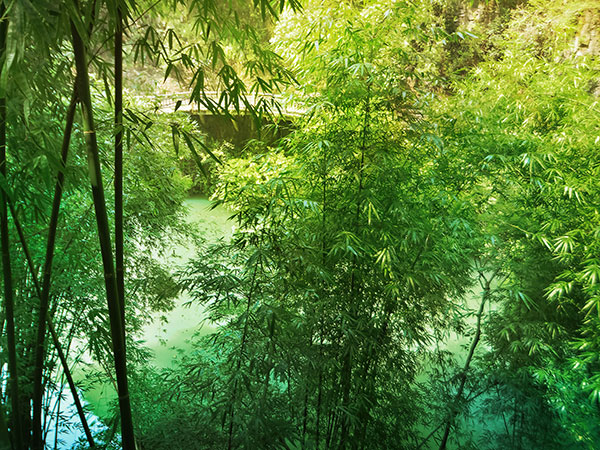 Tribe of the Three Gorges