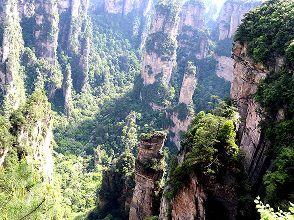 Yangjiajie Scenic Area