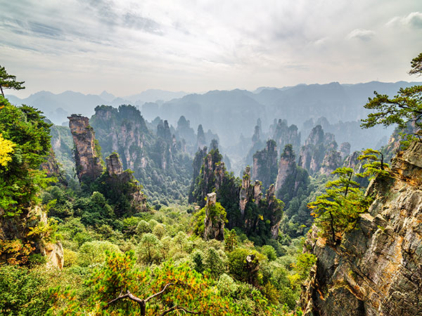 14 Days China Nature and Culture Tour