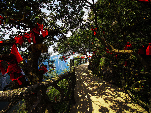 Zhangjiajie
