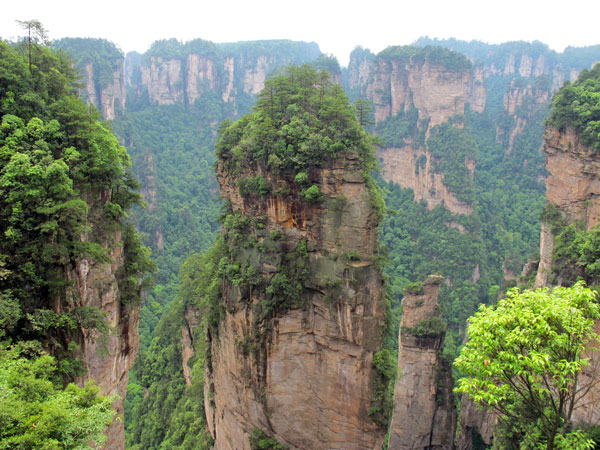 /pic/city/zhangjiajie/attractions/pillar-of-south-heaven-4.jpg