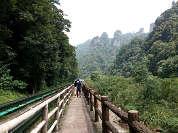 Ten-mile Natural Gallery