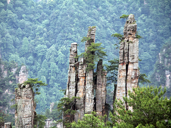 how to plan a day trip to Zhangjiajie National Forest Park