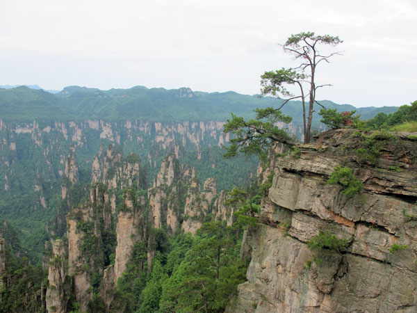 Tianzi Mountain Nature Reserve