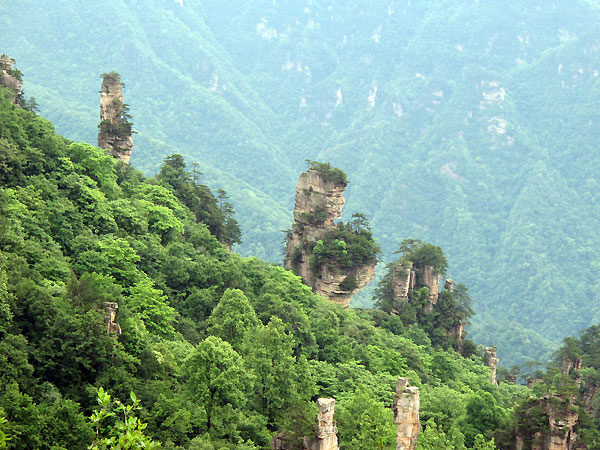 Tianzi Mountain Nature Reserve
