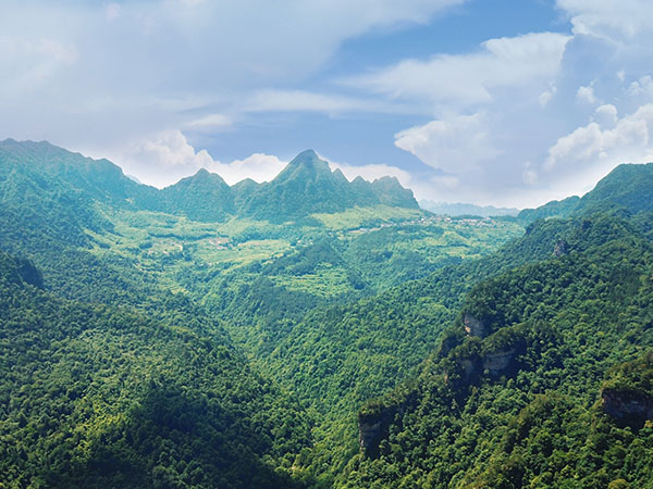 Wulingyuan Scenic Area