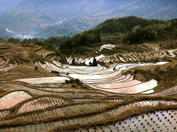 Zheiiang Yunhe Rice Terrace