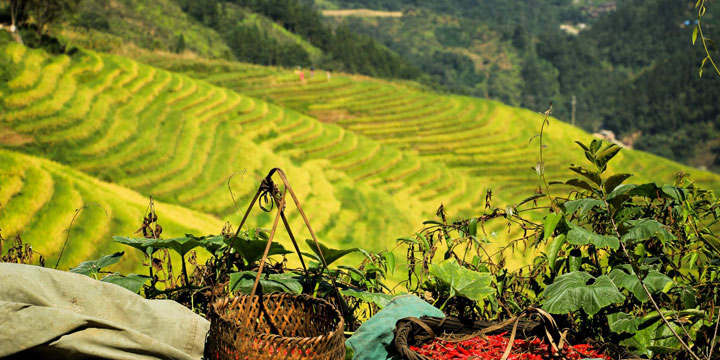 Best Time to visit China