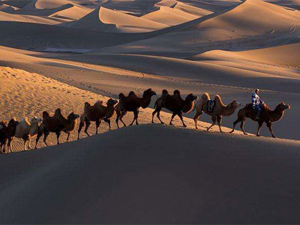 silk road caravan silk road caravan