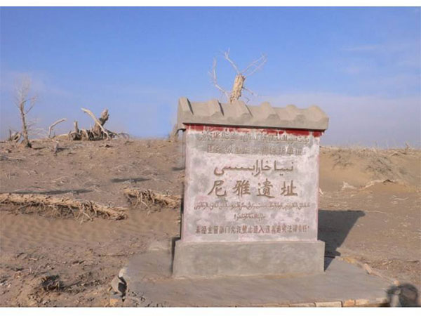 Xinjiang Niya Sites