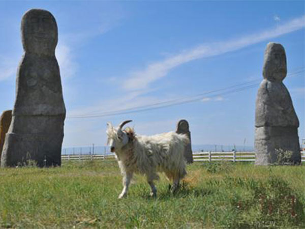 Stone Statues in Xinjiang