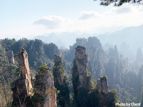 Best Chengdu Zhangjiajie Highlights Tour