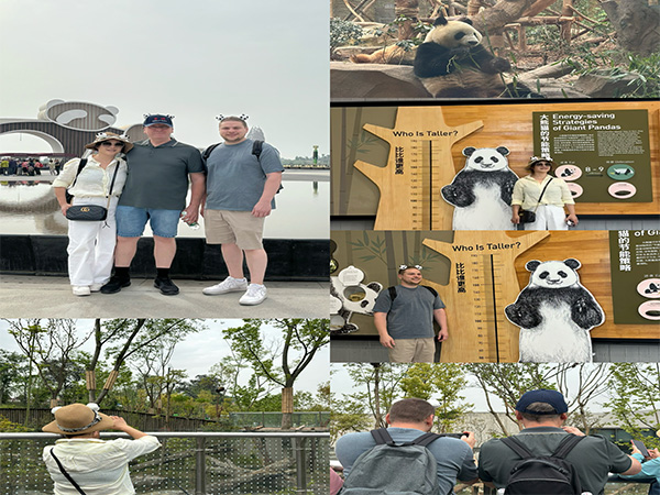 8 Days Panda Exploration Journey in China