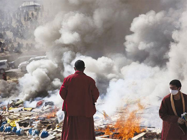 cremation