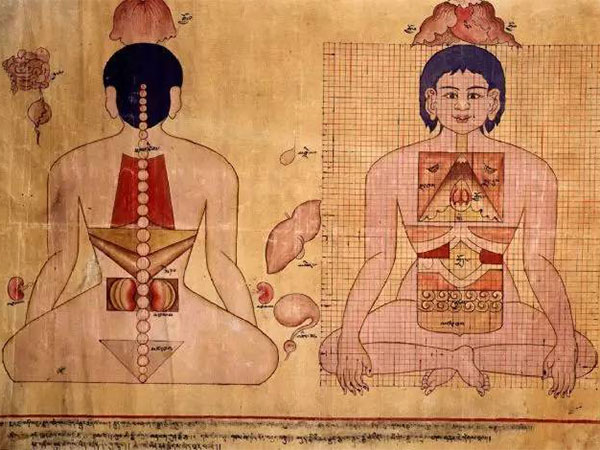 Tibetan Medicine Books