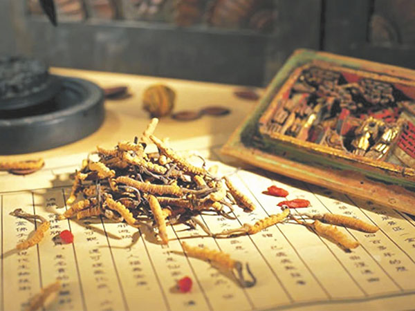 History of Traditional Tibetan Medicine