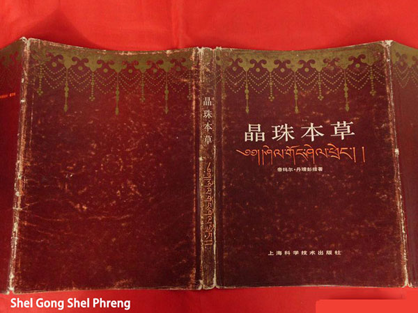 Tibetan Medicine Books