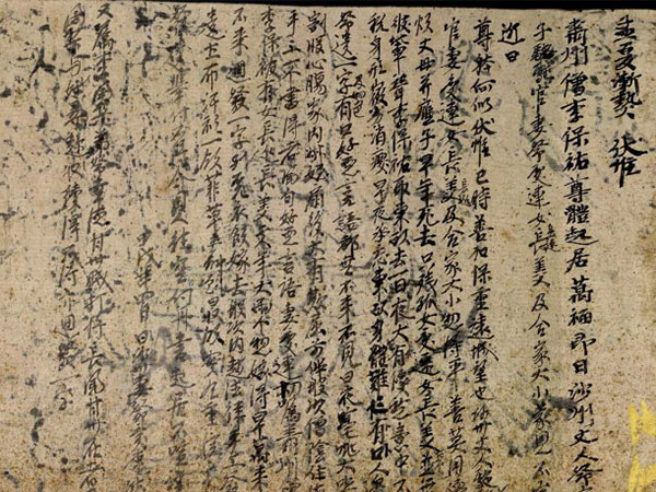 Tibetan Medicine Books