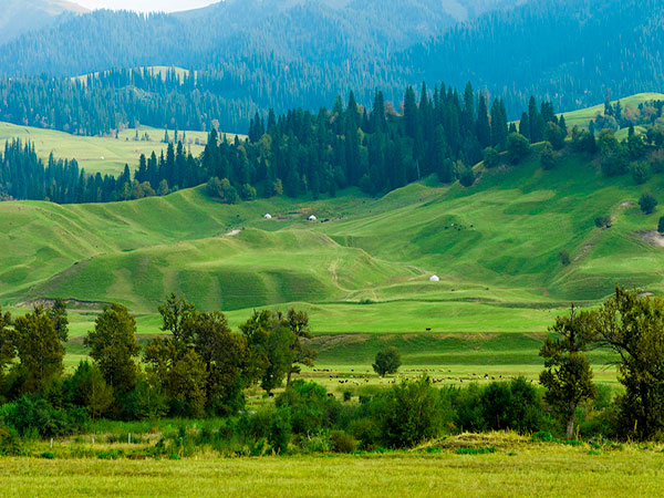 Xinjiang