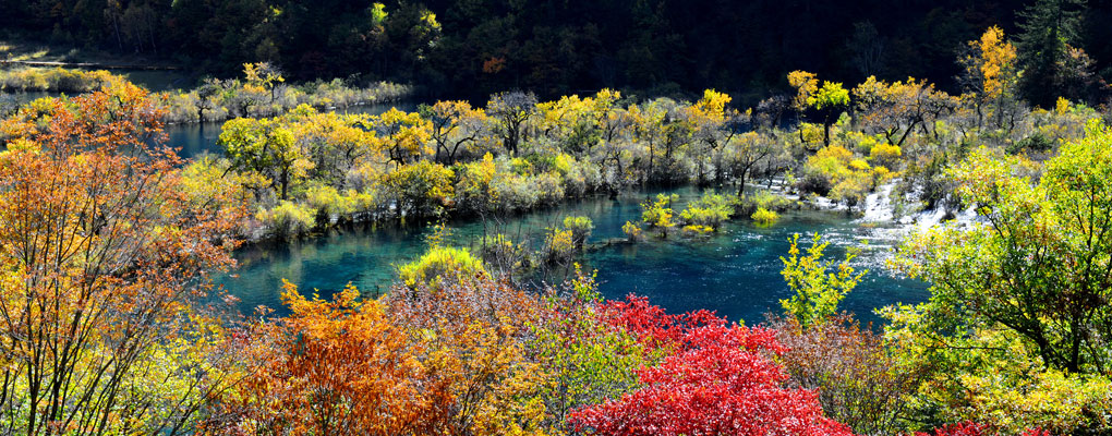 China Autumn Tours