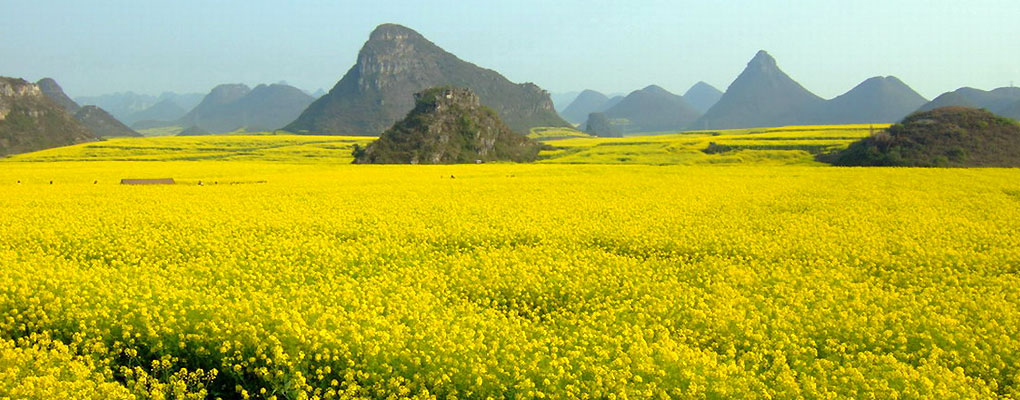 China Spring Tours China Spring Tours