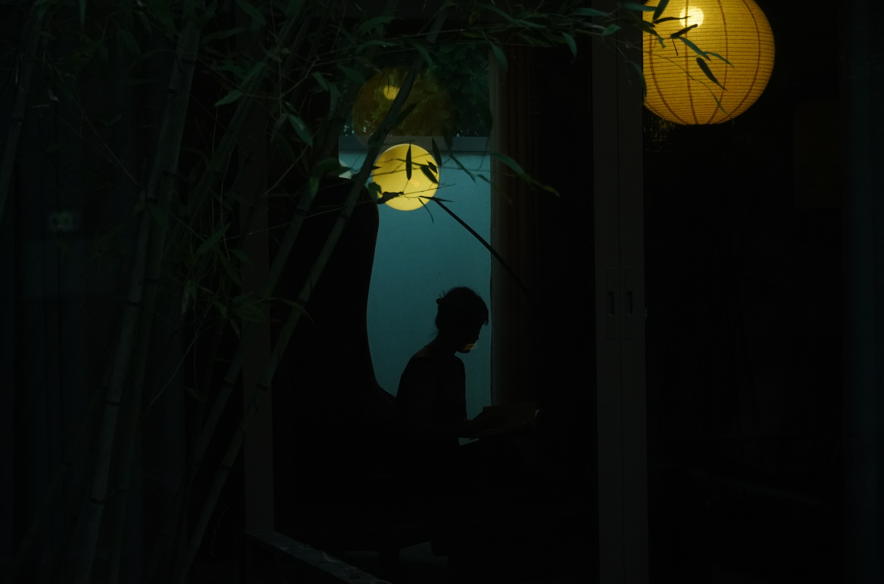 Lantern light and bamboo at dusk